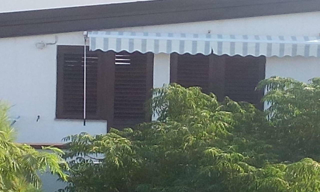 Apartman Maja Vir Exterior foto